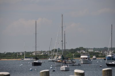 DSC_6948.JPG