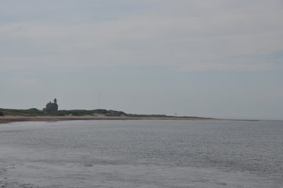 DSC_6951.JPG