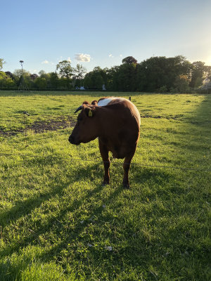 Landgoed Oostergeest