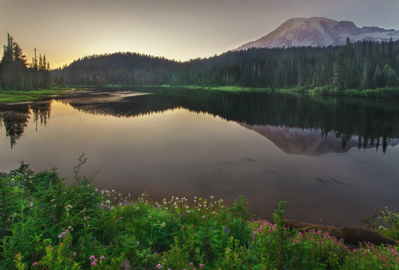 Mt. Rainier Evening