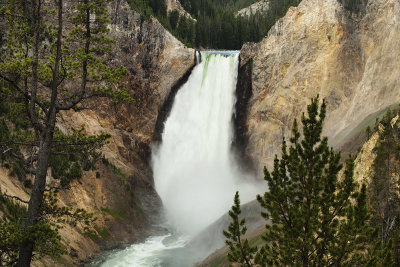 Yellowstone