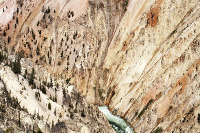 The canyon
