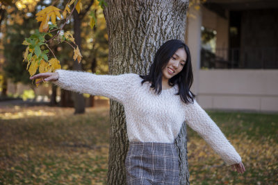 The autumn tree