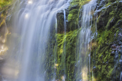 Proxy Falls