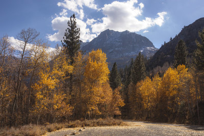 Sierra autumn