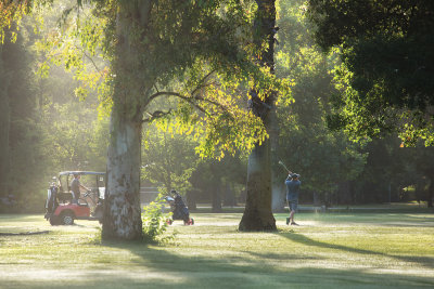 Morning golf