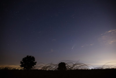 Neowise comet