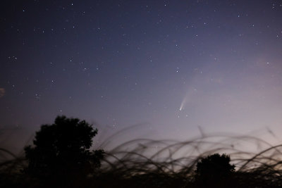 Neowise comet