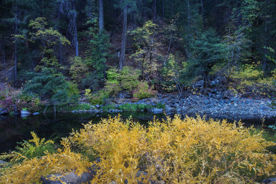 Autumn river