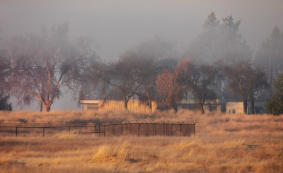 Rural Morning