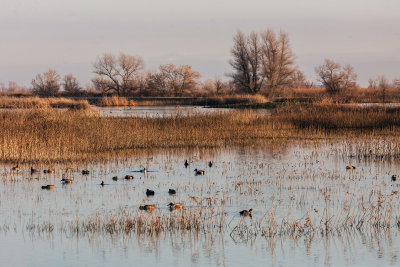 Wildlife Refuge