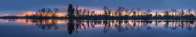 Swan Lake Morning