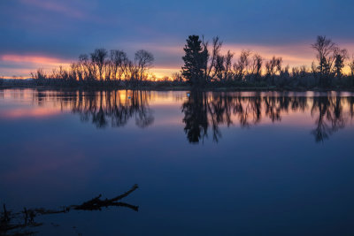 Swan Lake Sunrise
