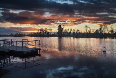 Swan Lake Sunrise