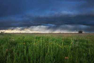 Stormy Landing