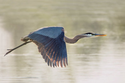 GBH in Flight