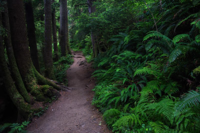 Trail