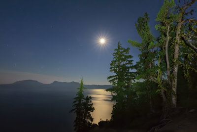 Moon Night