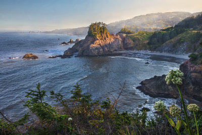 Oregon Coast Morning