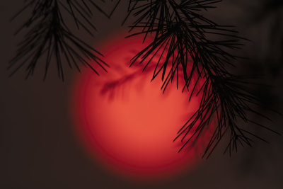 Red Sun