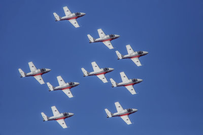 Snowbirds