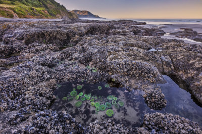 Low Tide Beach