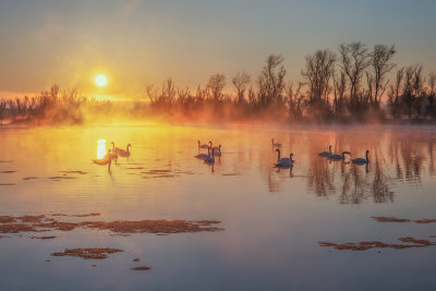 Swan Lake Sunrise