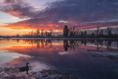 Sunrise on the Lake