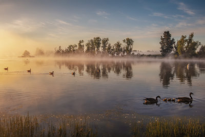 Morning Lake