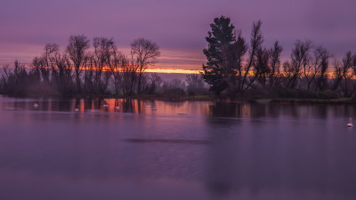 Swan Lake Sunrise