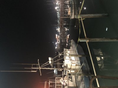 IMG_2019.JPG