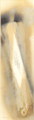 IMG Ed Tracy Tan Thin Abstract (blurry).jpg