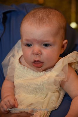 DSC_9841.jpg