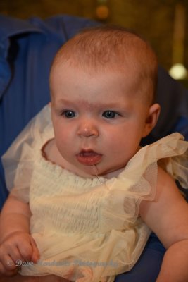 DSC_9842.jpg