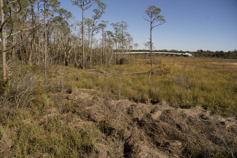 marsh debris from hurricane sally tidal surge