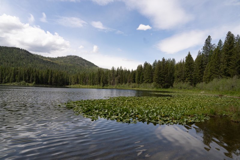 round pond id.jpg