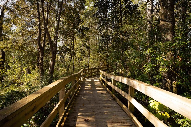 boardwalk