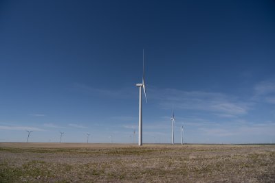 g12/14/503414/3/171675200.en6qnXT4.jpg