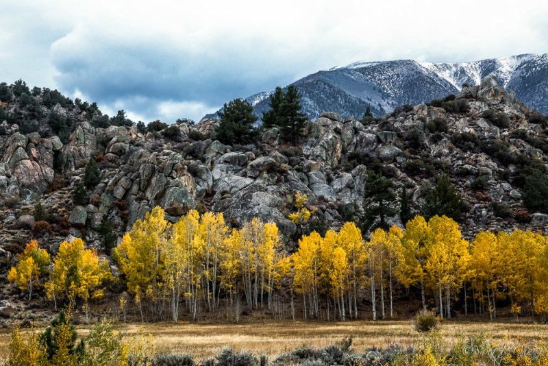 Autumn of Eastern Sierra