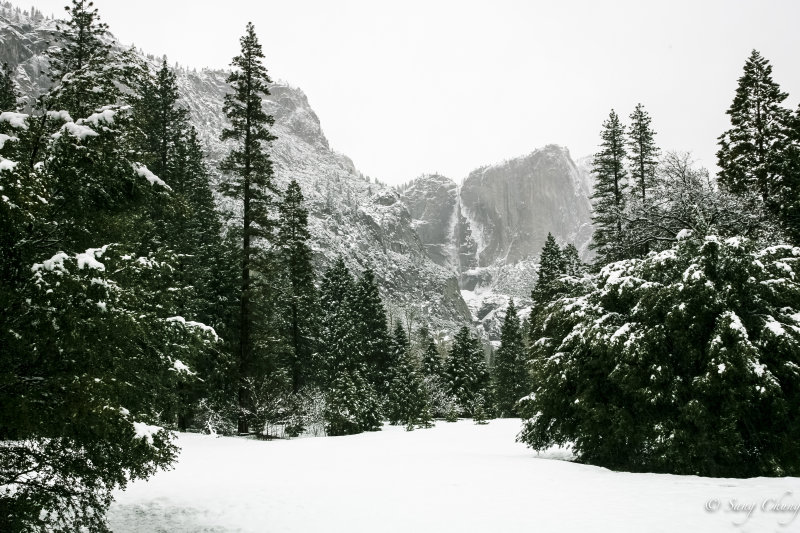 snowy, frozen Yosemite Fall