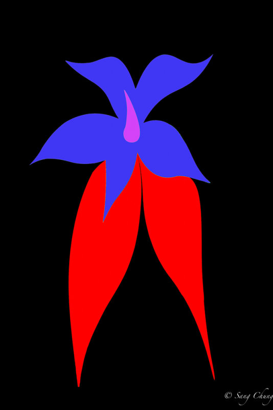 agave succulent