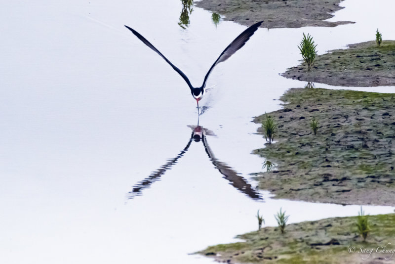 skimming