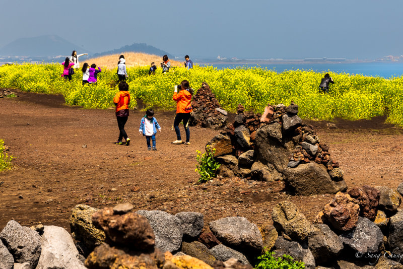 lava rocks