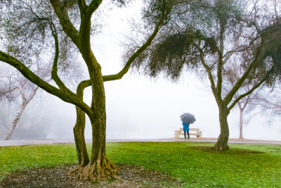 heavy misty morning