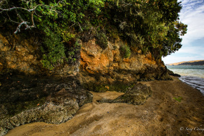 Shell Beach