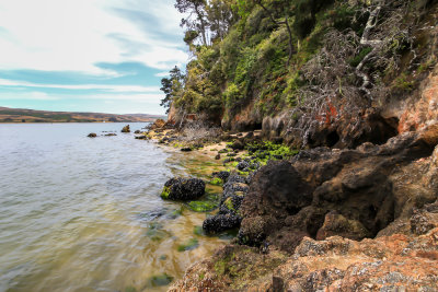colors of nature in Shell Beach