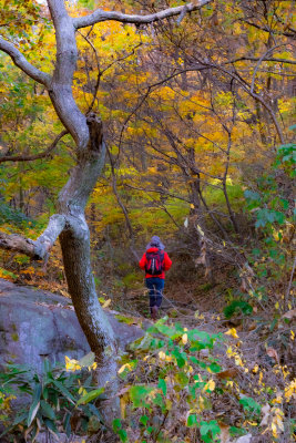 fall colors of Mt. Mudeung