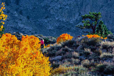 Autumn of Eastern Sierra