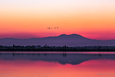 View of Mt. Santa Ana at dawn