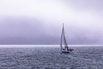 a sail boat in the sea